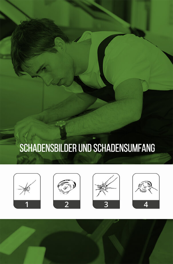 Steinschlag Reparatur